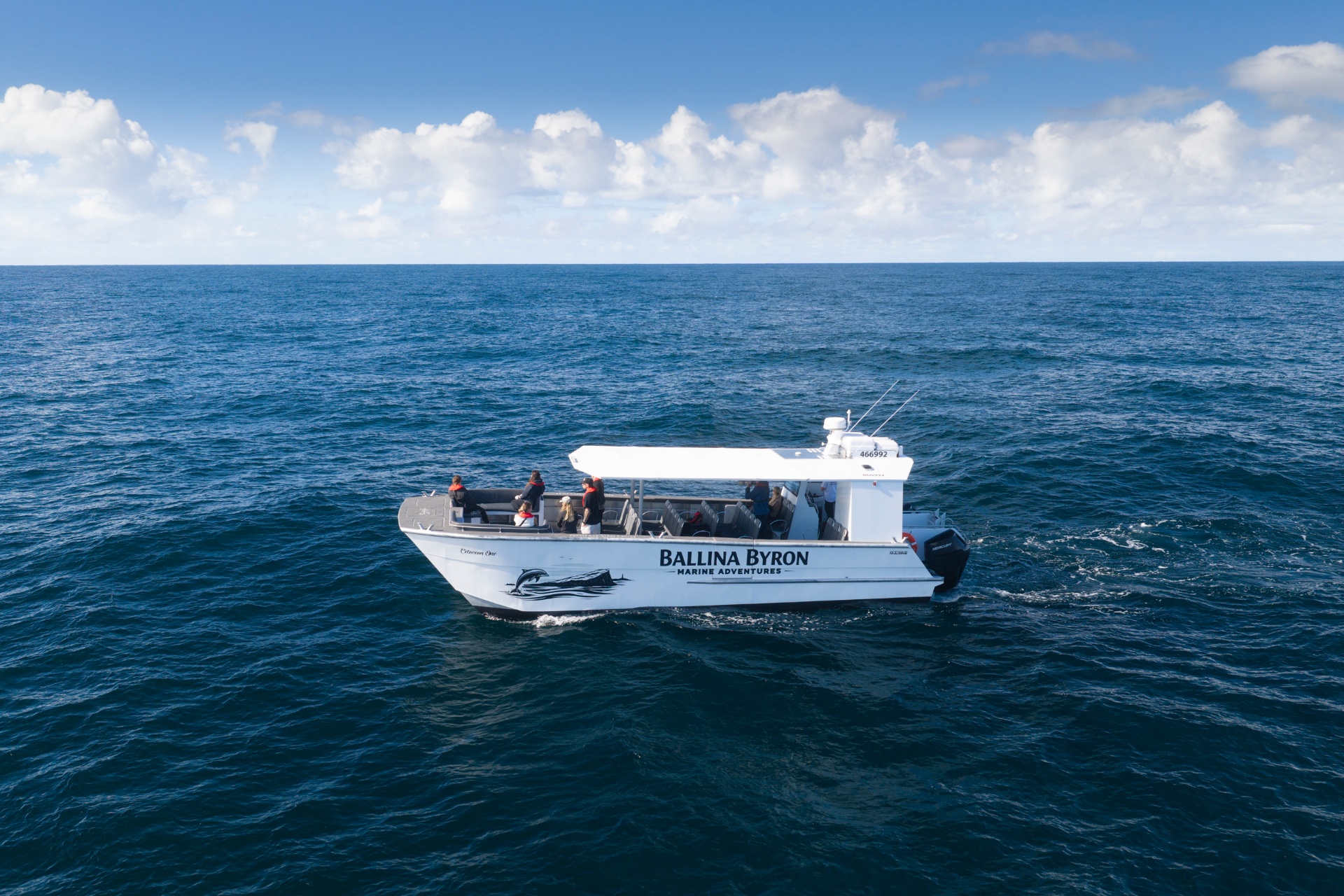 Cetacean One — Ballina Byron Marine Adventures catamaran on open ocean